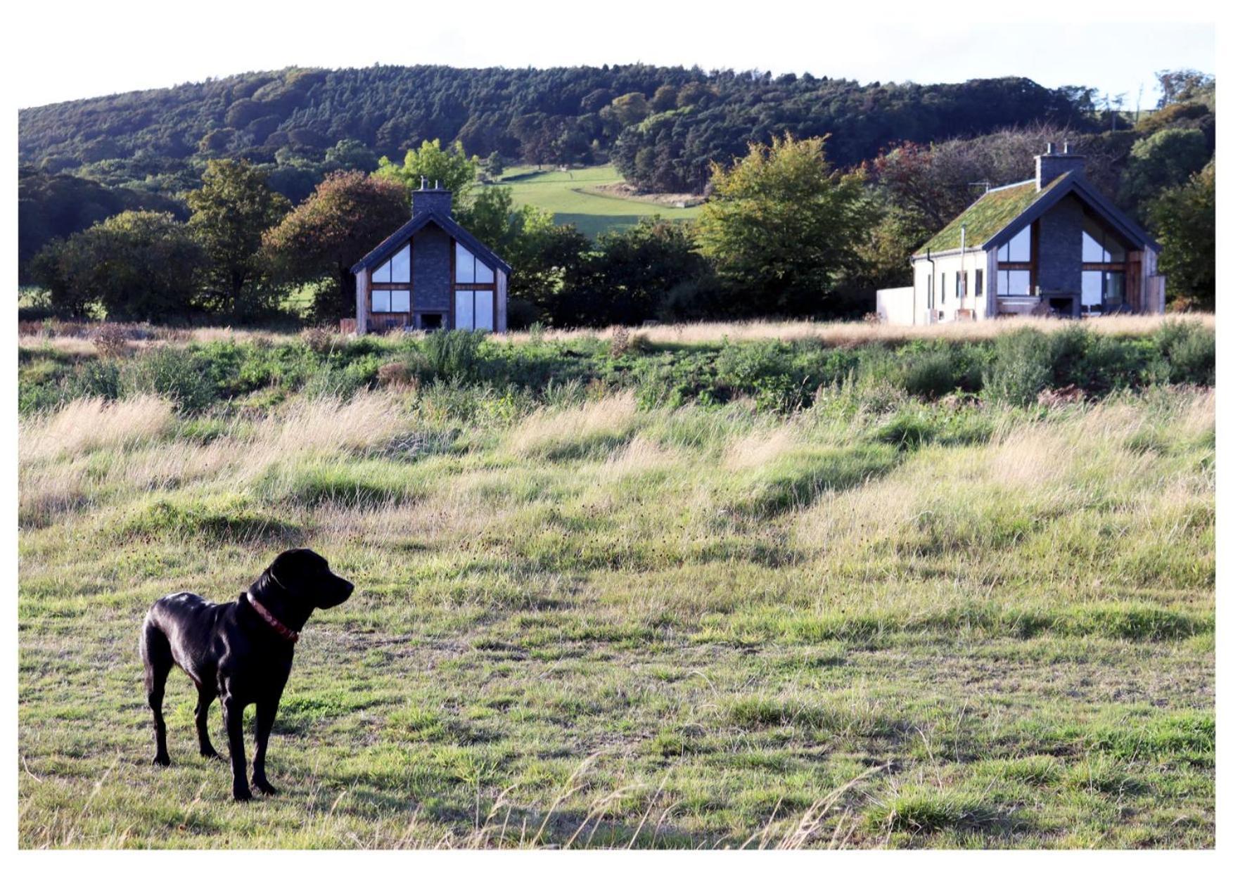 Eco-Lodge With Sea View Charleton Estate Colinsburgh 외부 사진